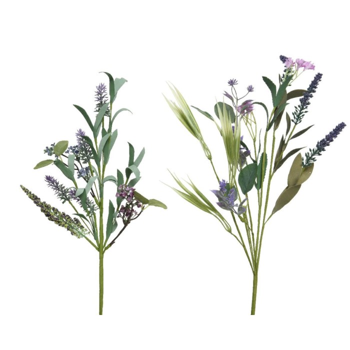 FIORE C LAVANDA 2ASS